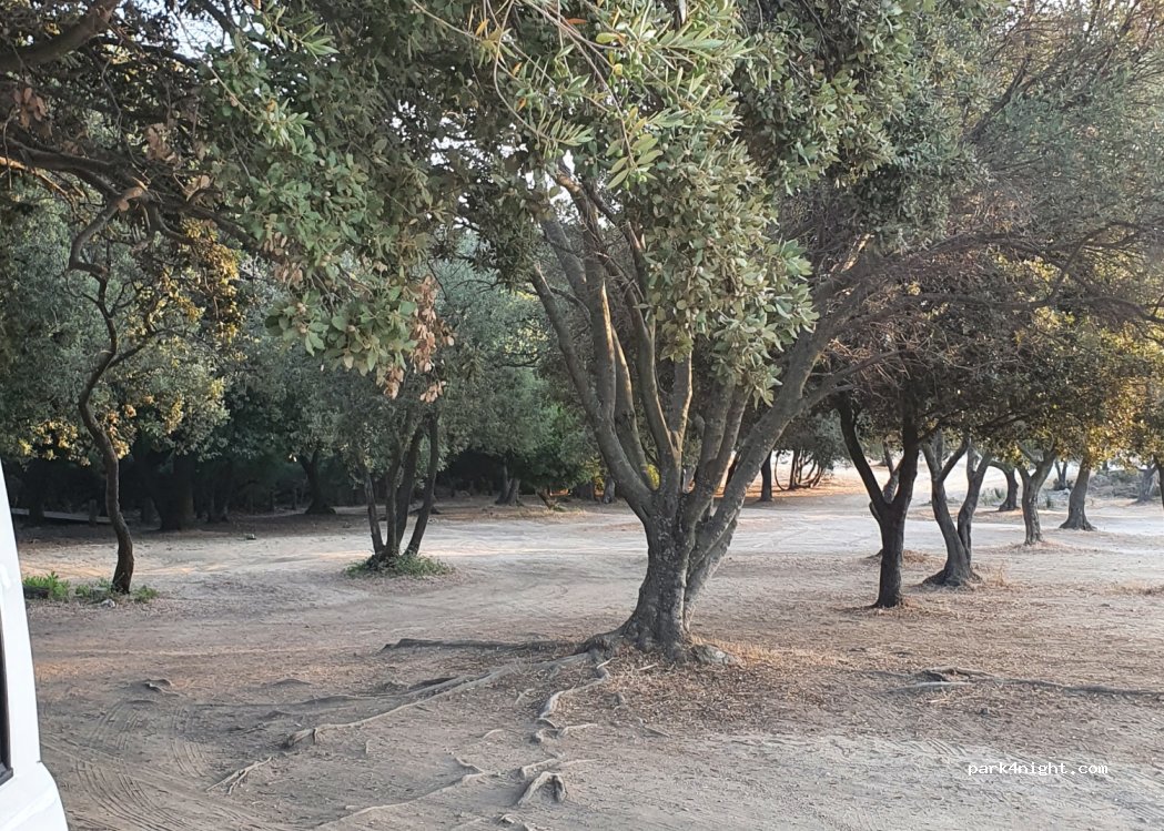 (20256) Corbara - Barcale — foto 3