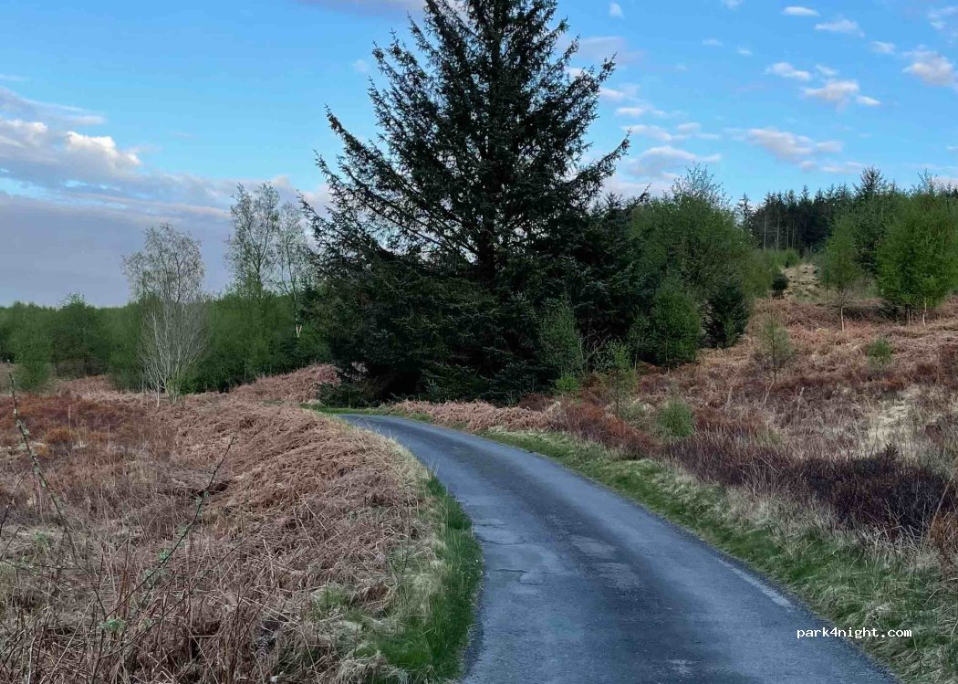 (DG8 7BL) Castle Douglas - — foto