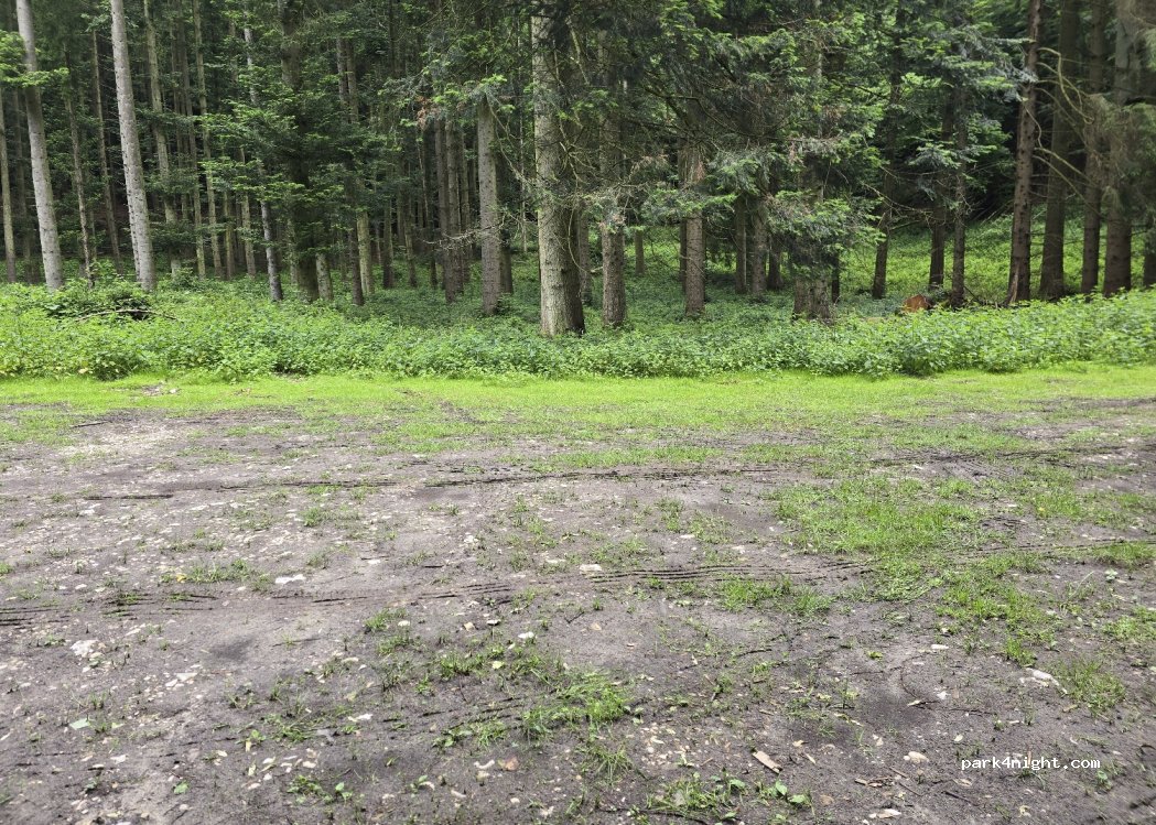 (33189) Schlangen - Lönspfad — foto 4