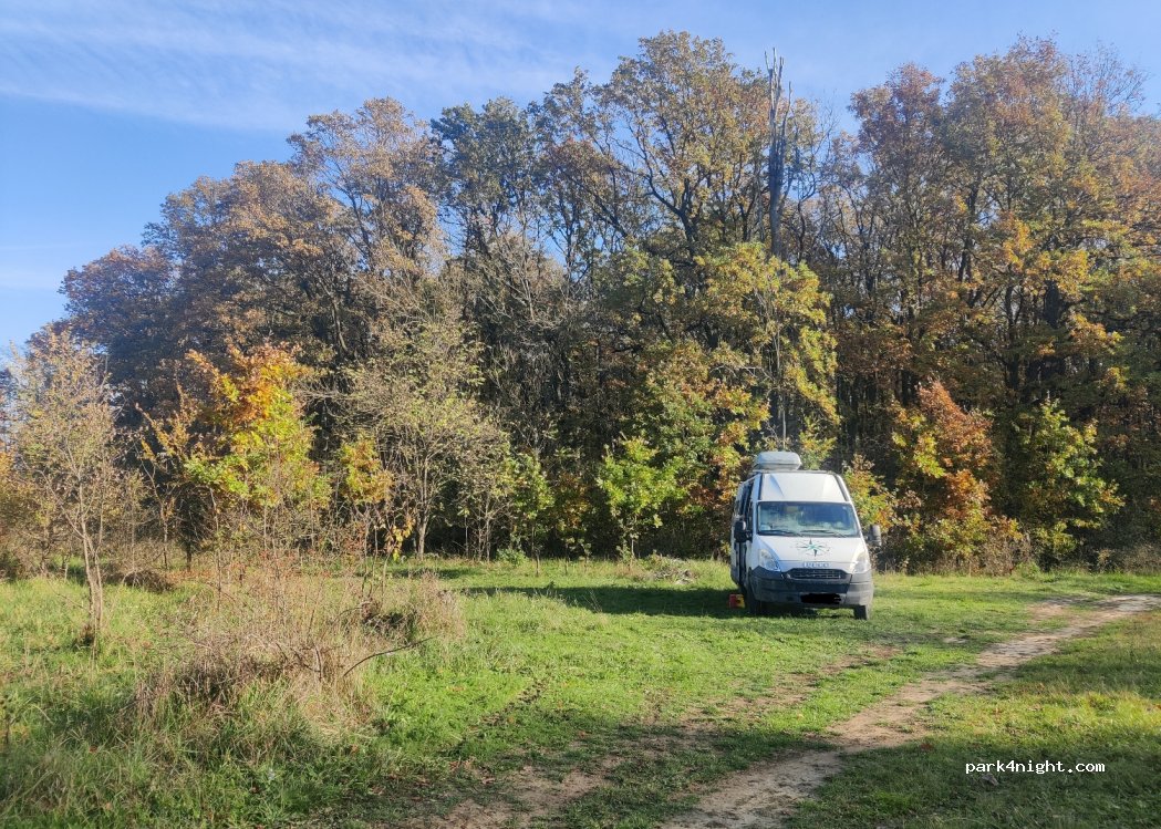 (307395) Șag - — foto