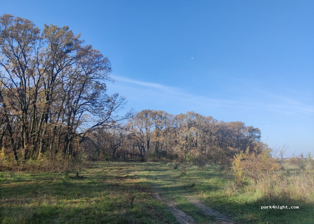 (307395) Șag - — foto 2
