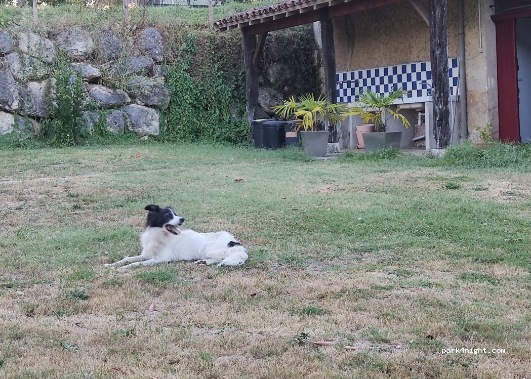Danto Dominique — foto 3
