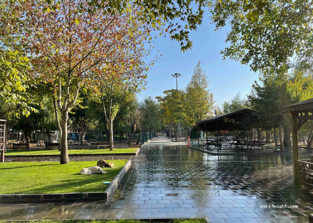Fidanlık Mesire Alanı — foto 4
