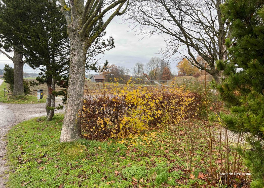 (82380) Peißenberg - Stammerstraße 7 — foto 2