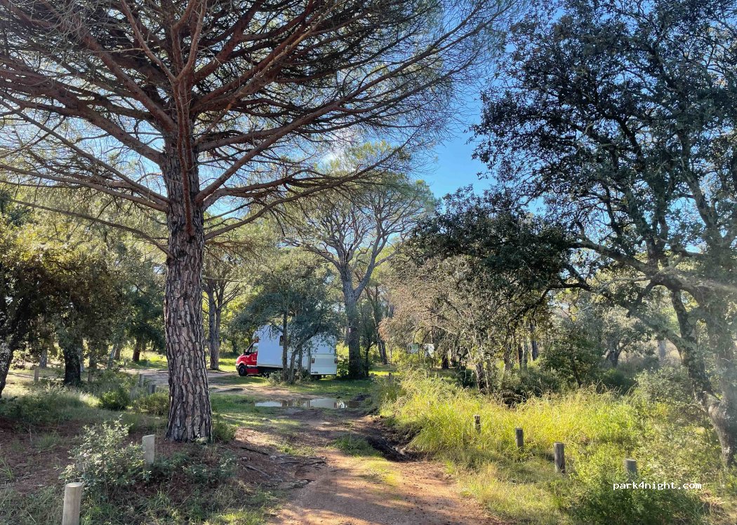 (83550) Vidauban - 7331 Route de Saint Tropez — foto
