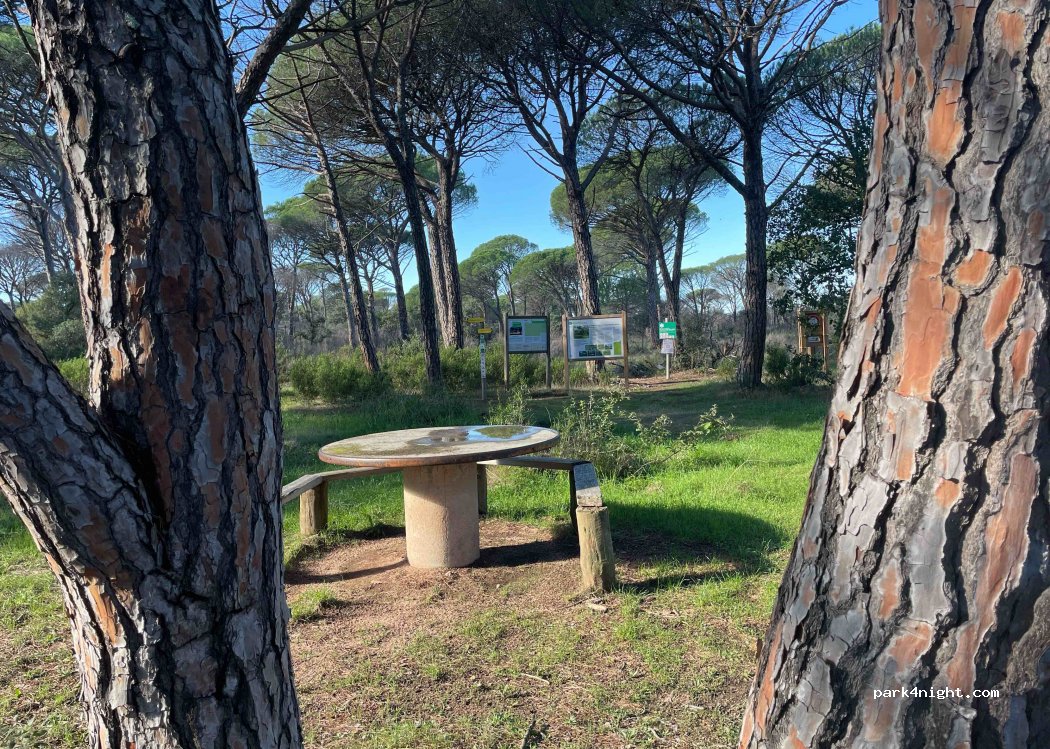 (83550) Vidauban - 7331 Route de Saint Tropez — foto 2