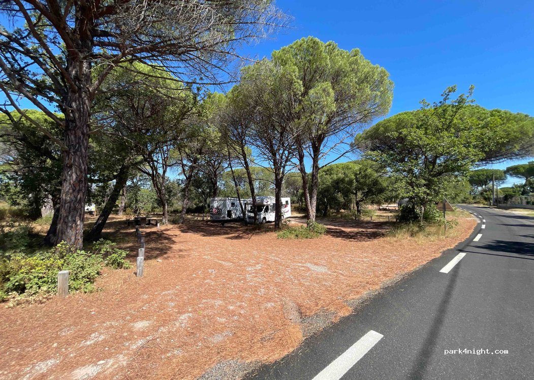 (83550) Vidauban - 7331 Route de Saint Tropez — foto 3