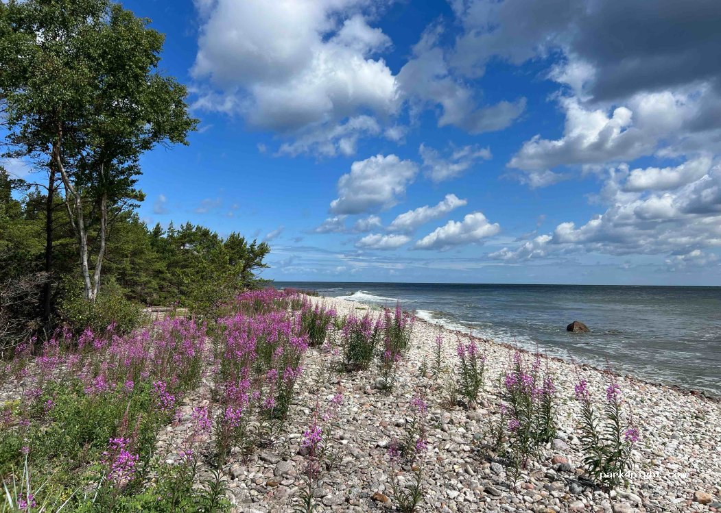 (624 67) Fårö - 699 — foto 3