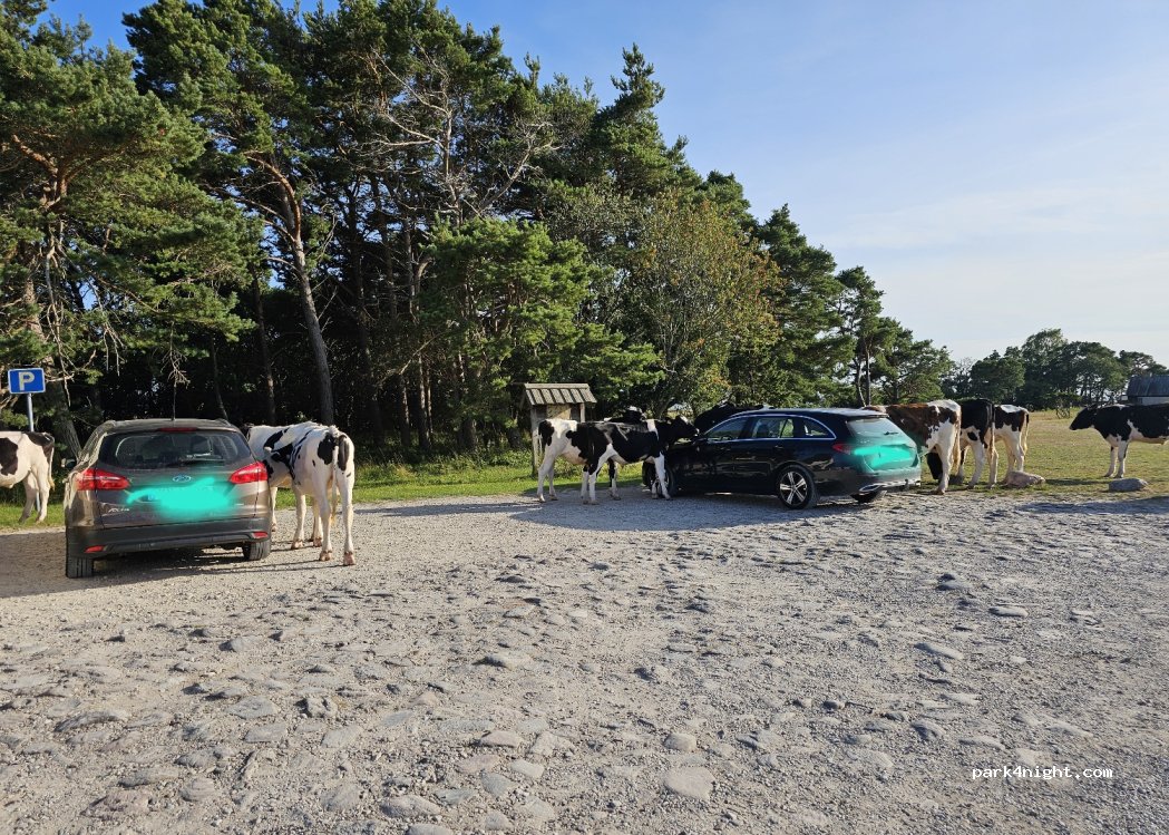 (623 79) Klintehamn - 800 Sanda Kovik — foto 4