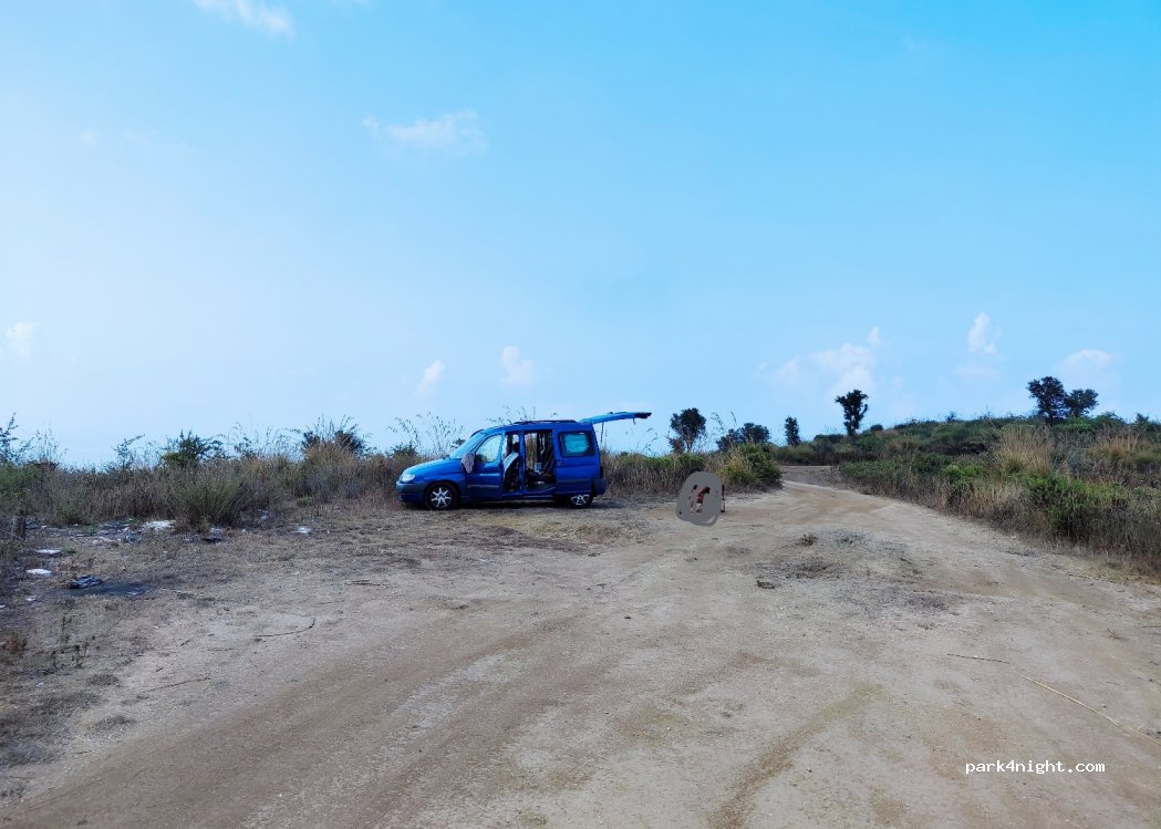 (89863) Coccorino - — foto