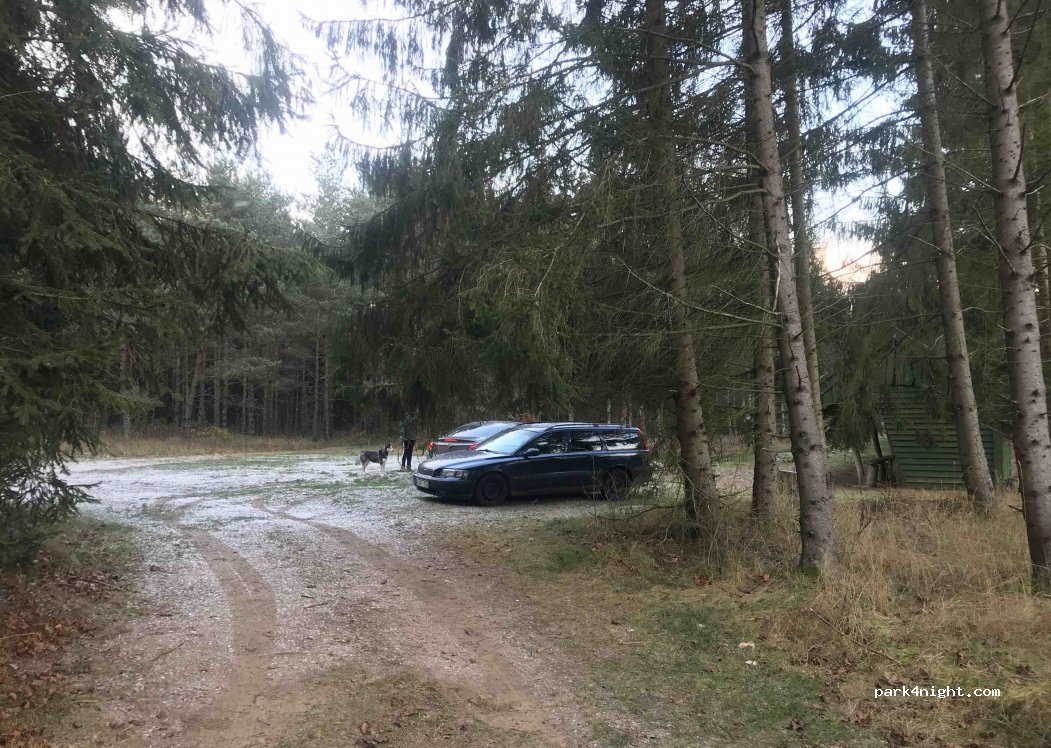 (99335) Paleičiai - — foto