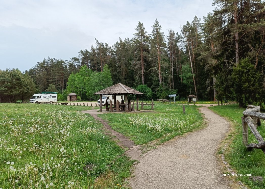 (86381) Svilė - — foto 2
