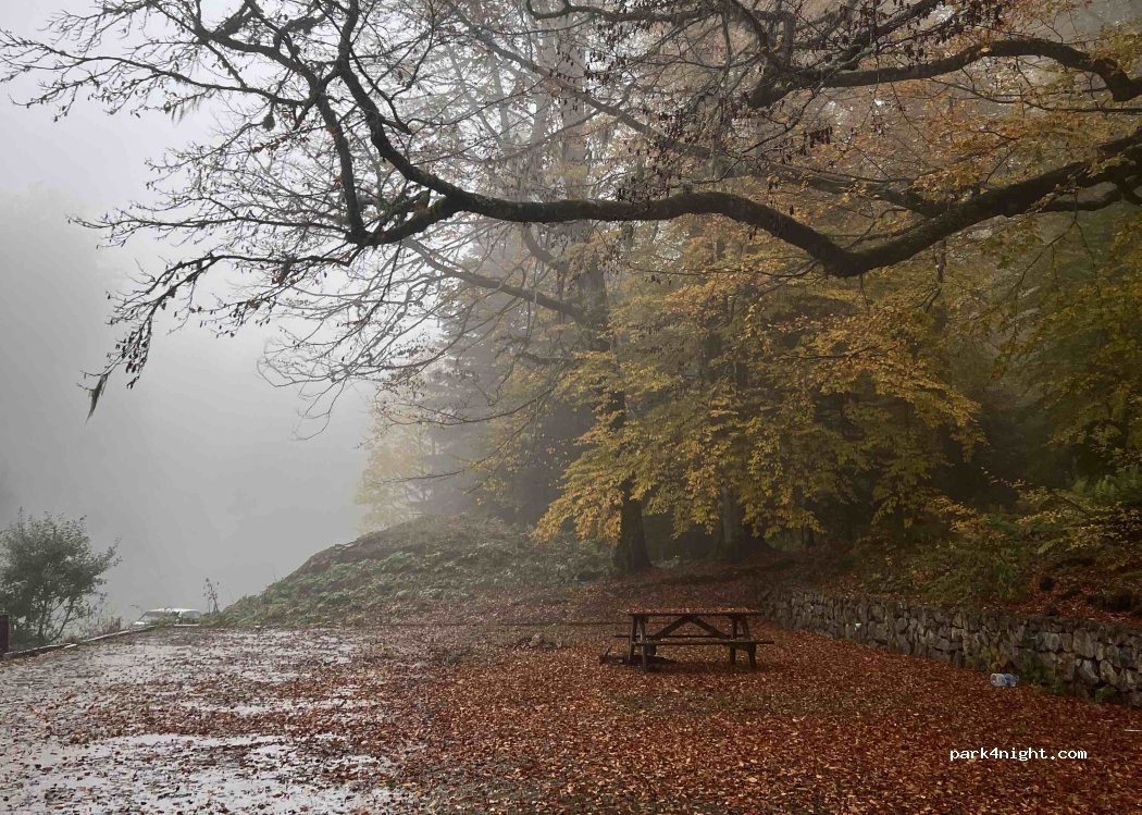 Ayıkayası Tabiat Parkı — foto 5