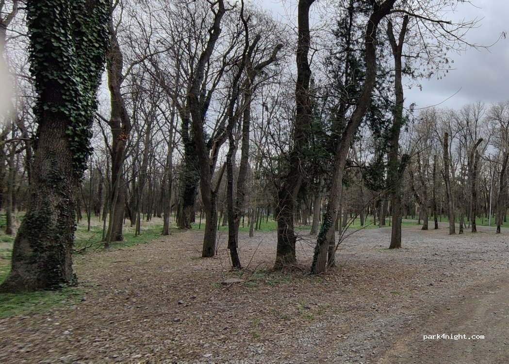 (8125) Burgas - — foto 3
