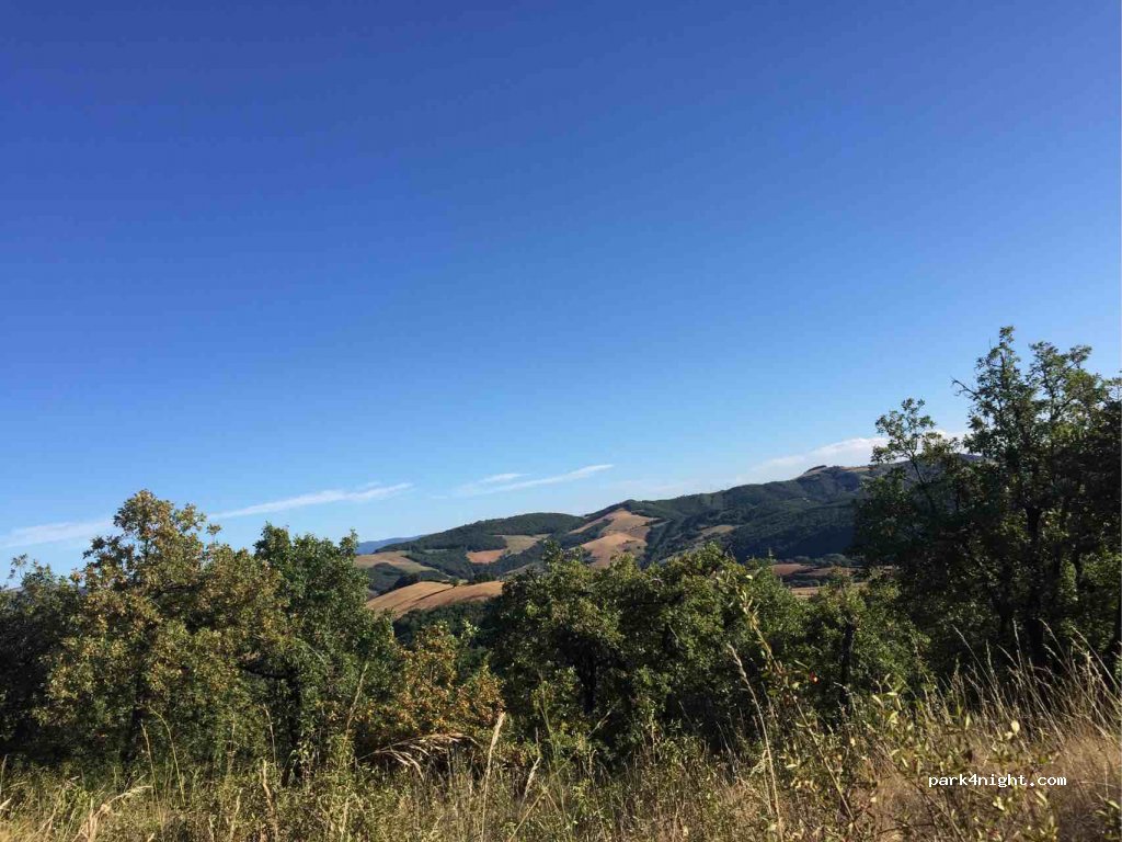 (12400) Saint-Affrique - D54 — foto 4