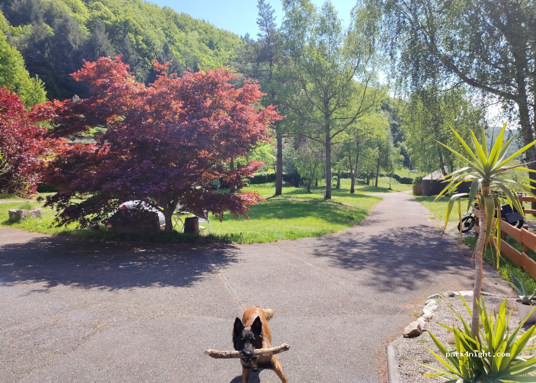 Camping les Verts Bois — foto 3