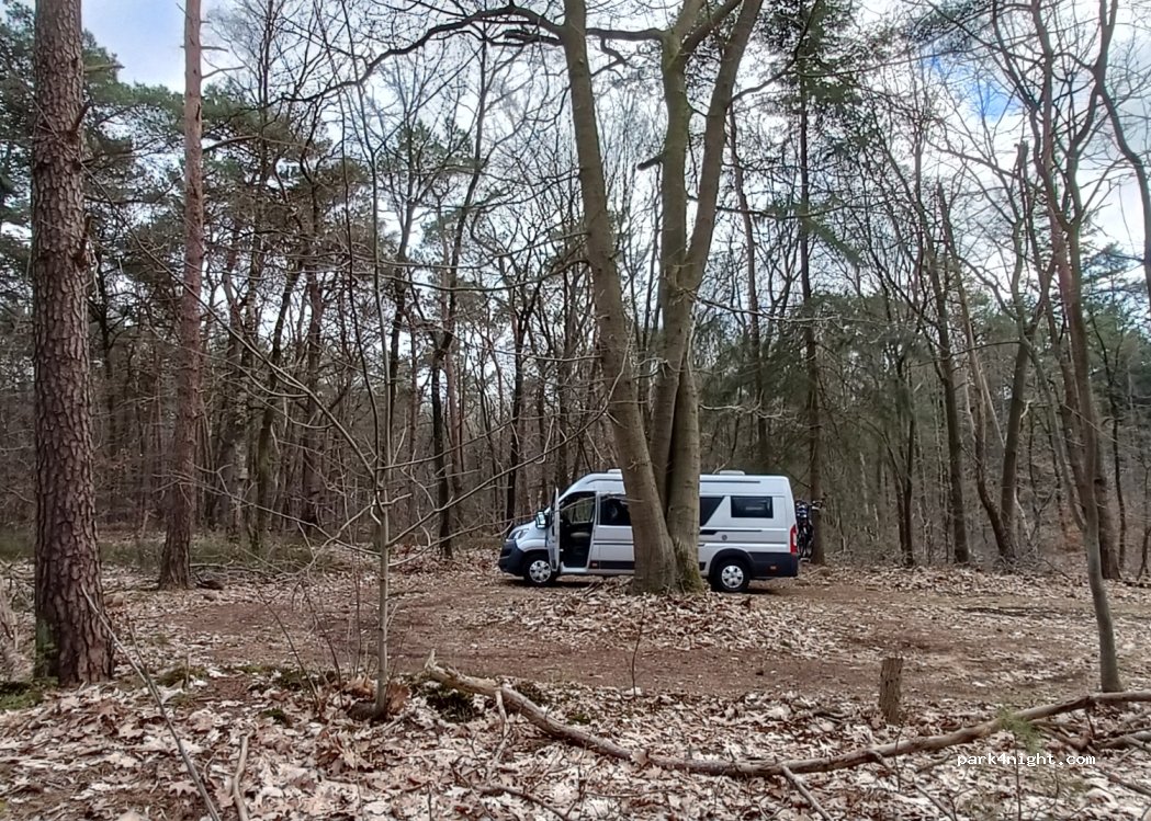 (8166 GV) Emst - Langeweg/Lariksweg — foto 2