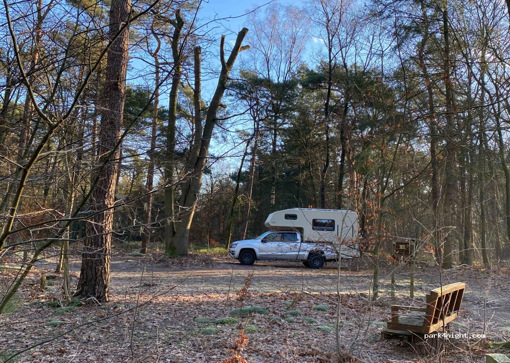 (8166 GV) Emst - Langeweg/Lariksweg — foto 4