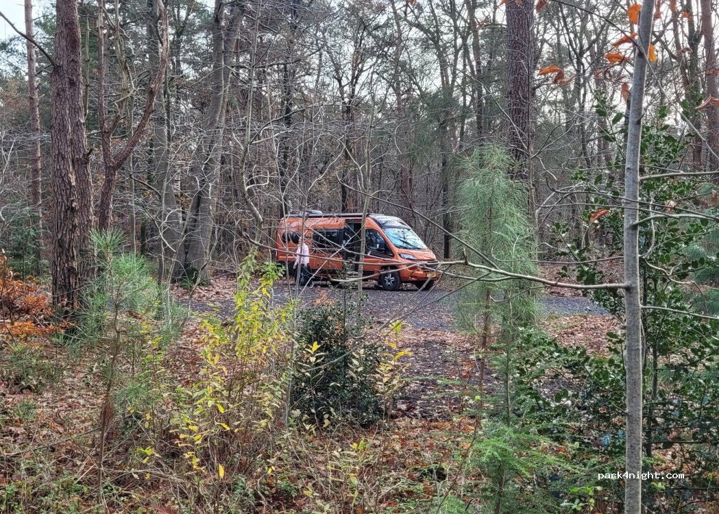 (8166 GV) Emst - Langeweg/Lariksweg — foto 5