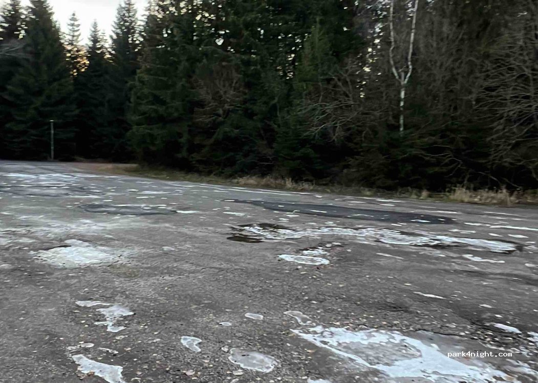 (01773) Altenberg - Bornweg — foto 2