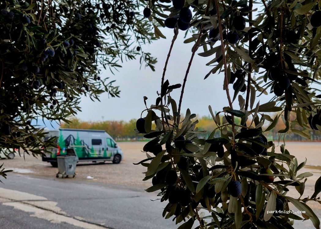 (45215) Akhisar - 22 522. Sokak — foto