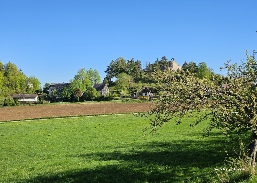 (92262) Birgland - 1 Lichtenegg — foto