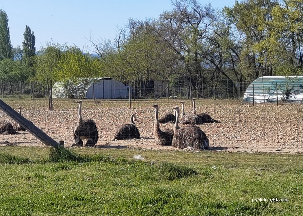 Ferme de l'Autruche Drômoise — foto