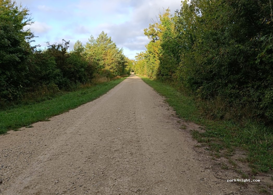 (55300) Apremont-la-Forêt - Chemin des Vozelles — foto 4