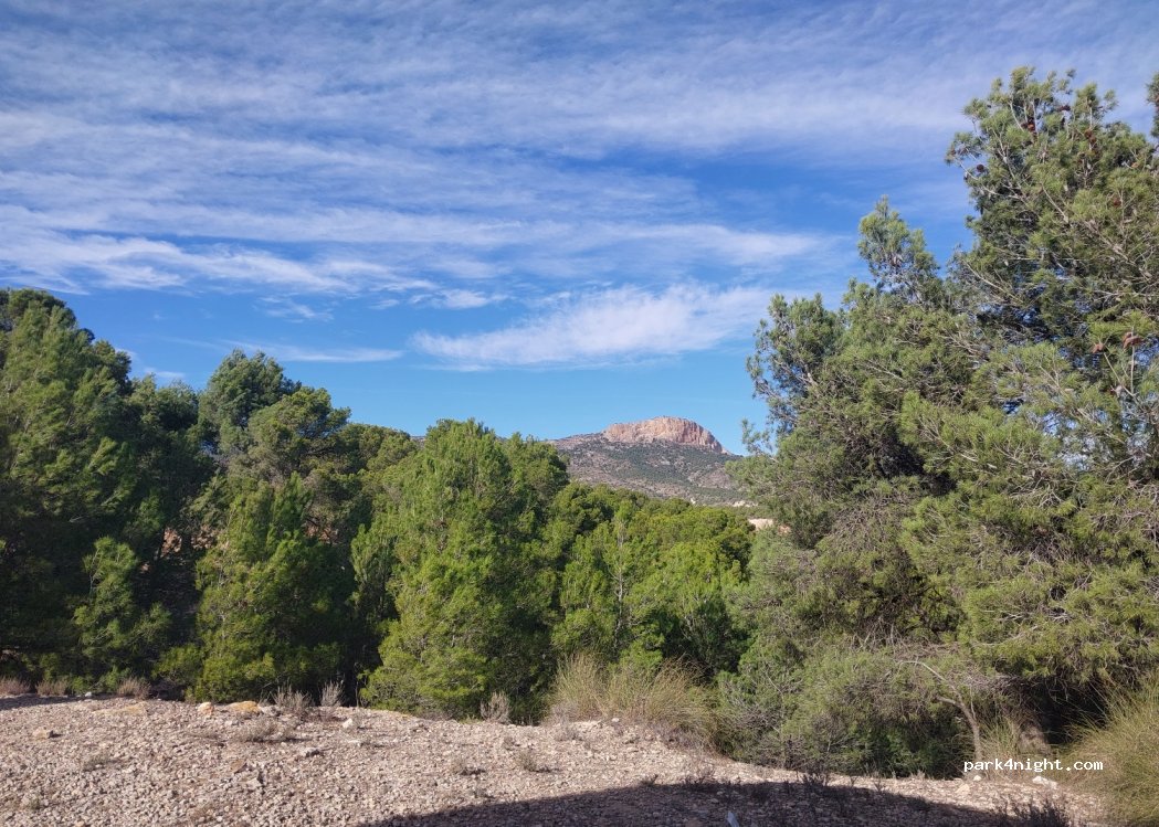 (30814) Zarzadilla de Totana - — foto