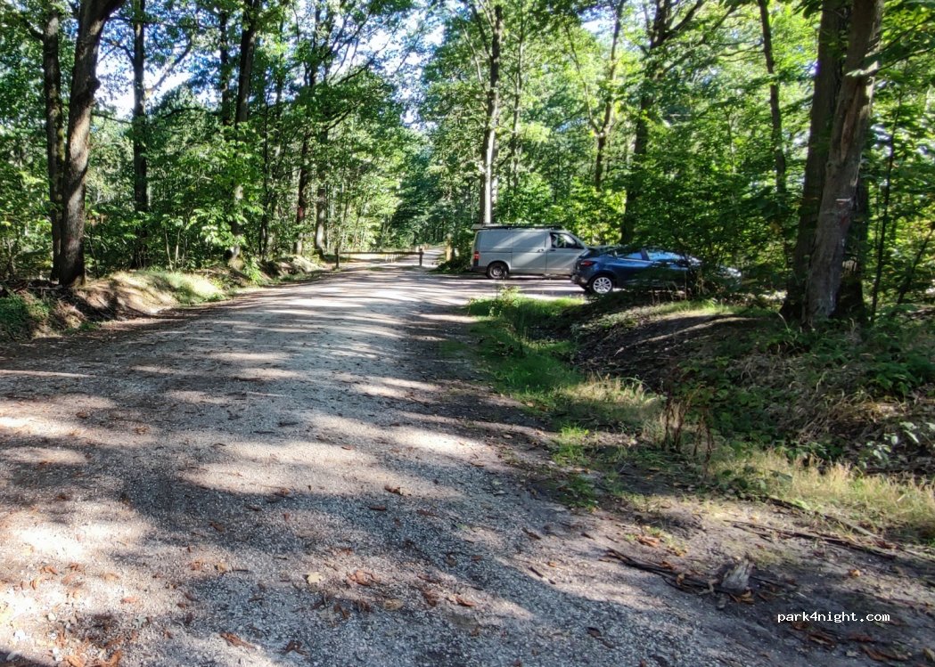 (78120) Sonchamp - Vieux Chemin de Saint-Arnoult — foto