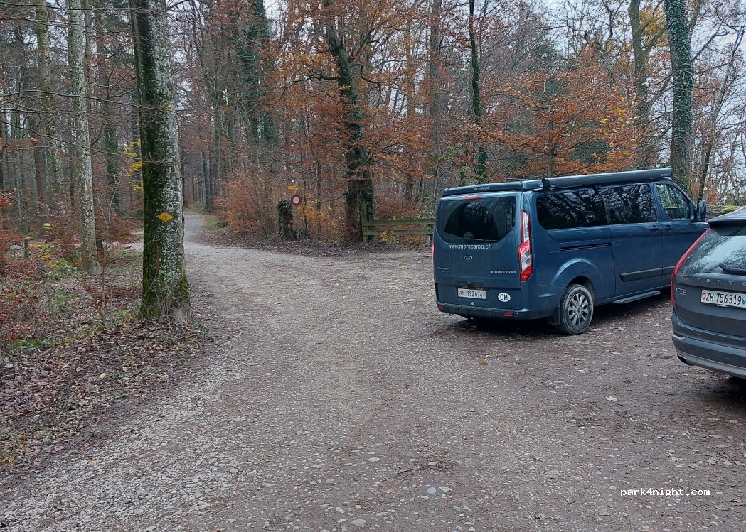 (8157) Dielsdorf - — foto
