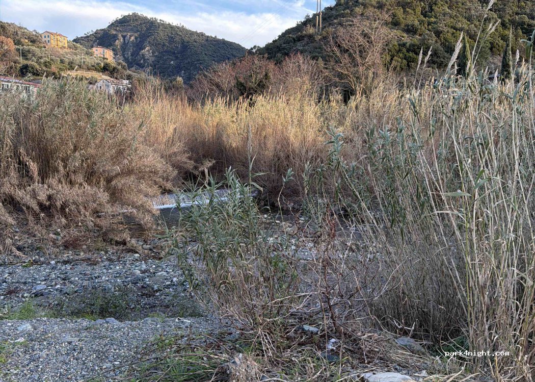 (16030) Casarza ligure - SS523 — foto 5