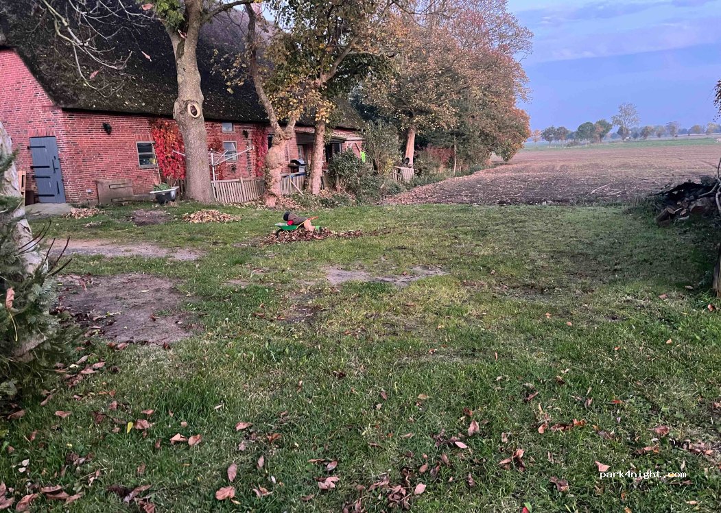 (25554) Neuendorf-Sachsenbande - 26 K40 — foto 4