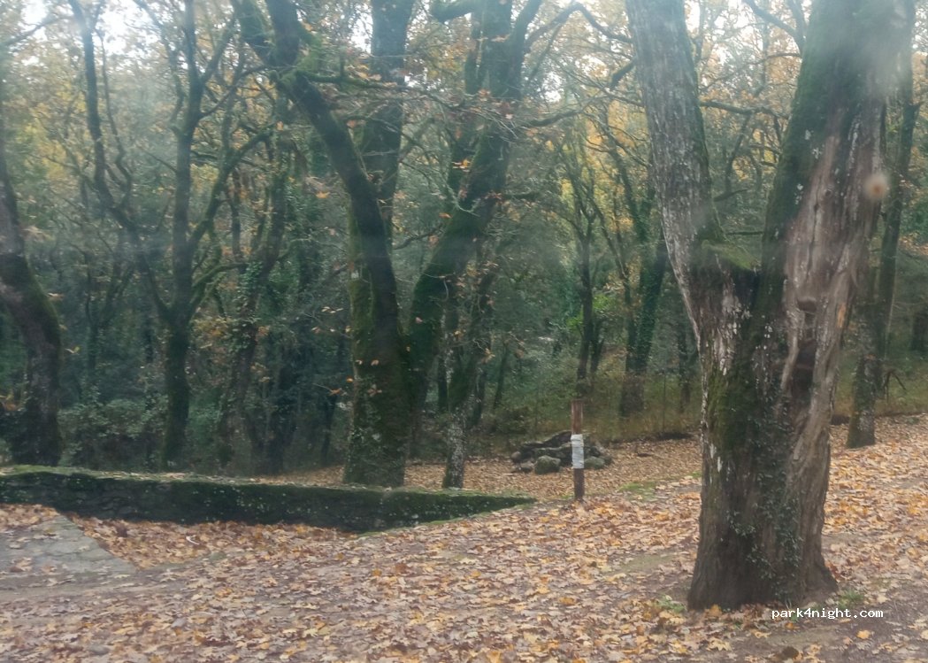 (07010) Bultei - — foto 3