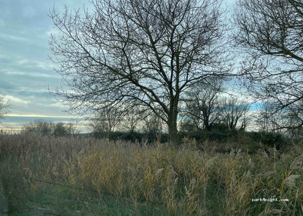 (17130) Cinc Claus - Carretera Sant Martí d'Empúries — foto 3