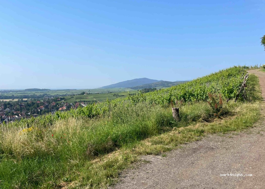 (67140) Barr - Unnamed Road — foto 4