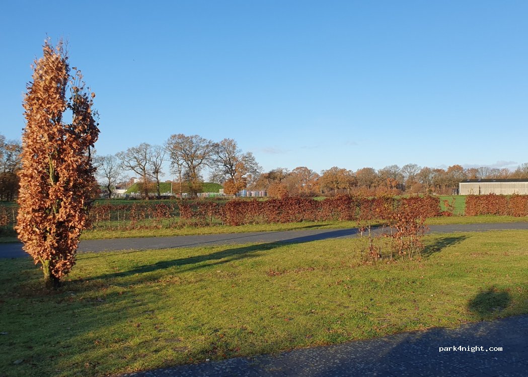 Zum alten Erbkrug — foto 2