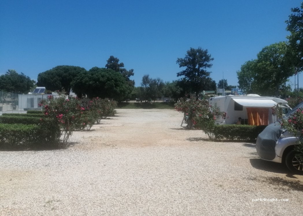 Lugar de Campista | Camping Canelas — foto 3