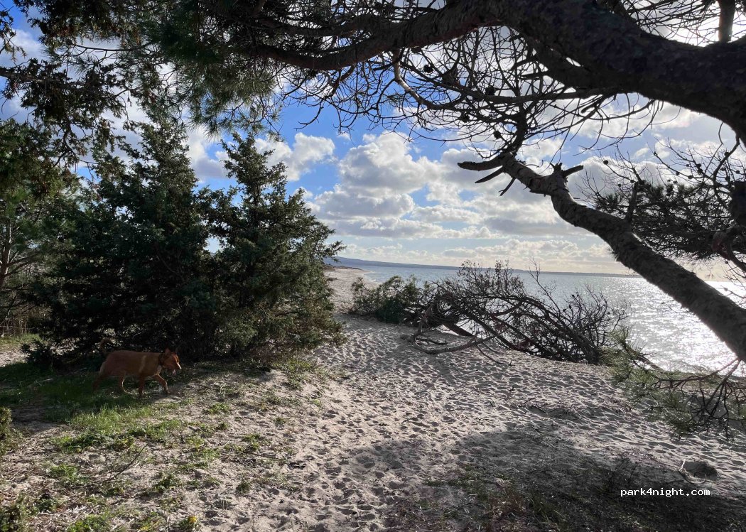 (09010) Portoscuso - Unnamed Road — foto 3