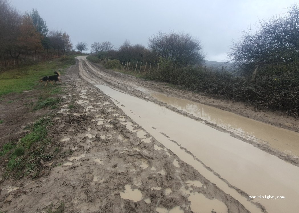 (98073) Mistretta - Unnamed Road — foto 3