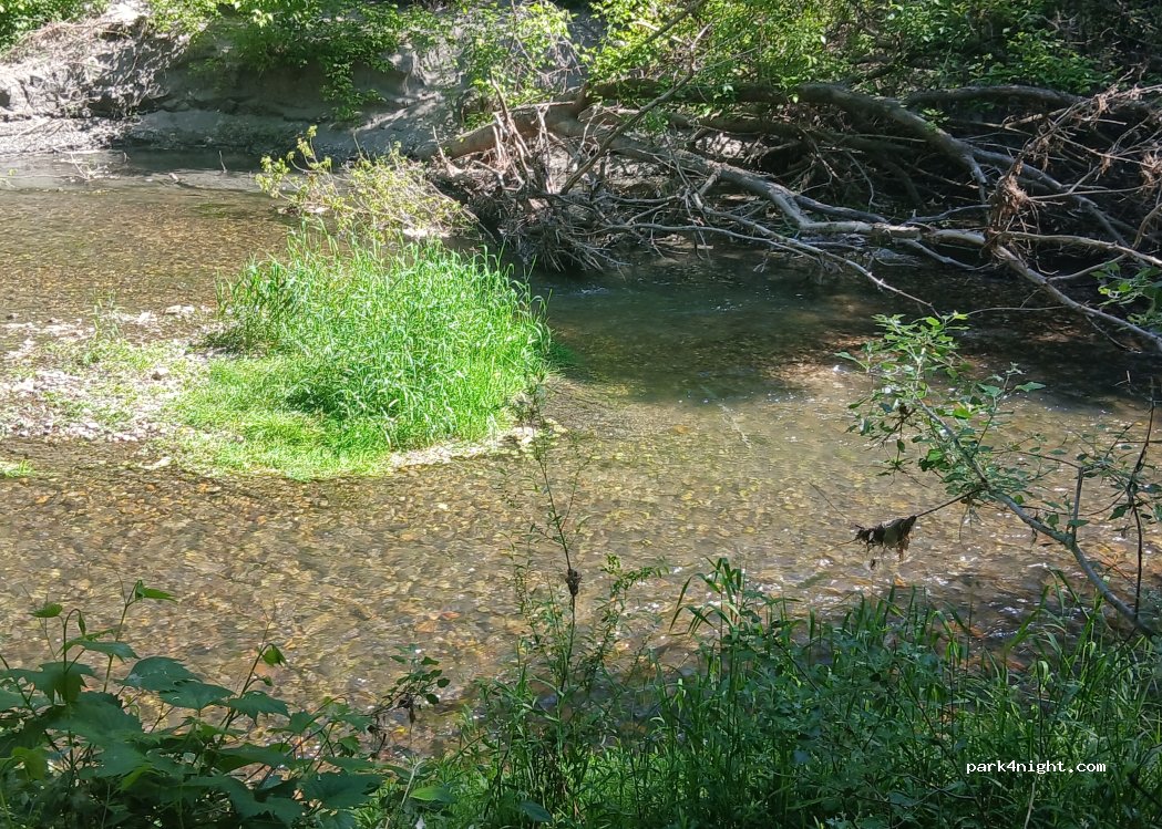 (07700) Bourg-Saint-Andéol - Qur de l'Île du Chenevier — foto 5