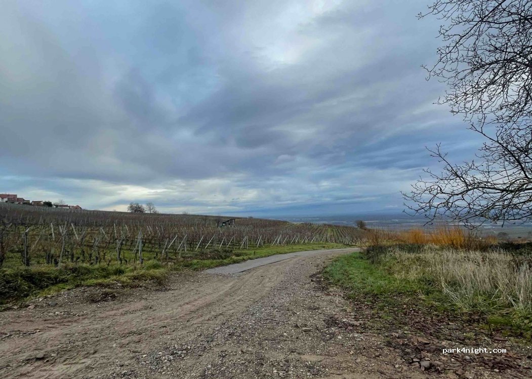 (68420) Obermorschwihr - — foto 4