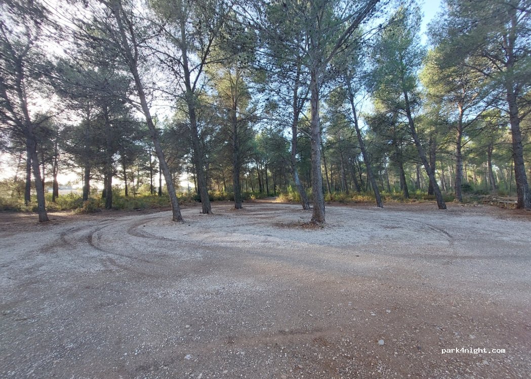 (43815) Santes Creus - El Pla de Santa Maria — foto