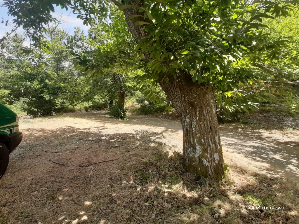 (24495) Palacios del Sil - 15 Calle Calvo Sotelo — foto 2