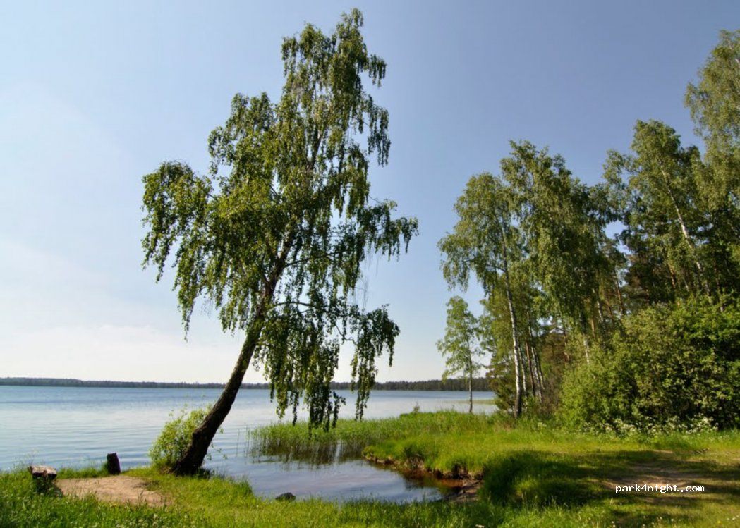 (42333) Augustinava - — foto