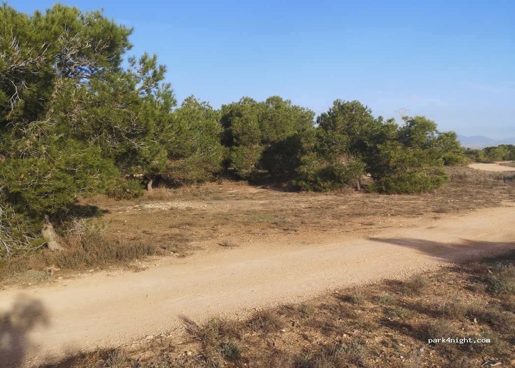 (03194) La Marina - Unnamed Road — foto