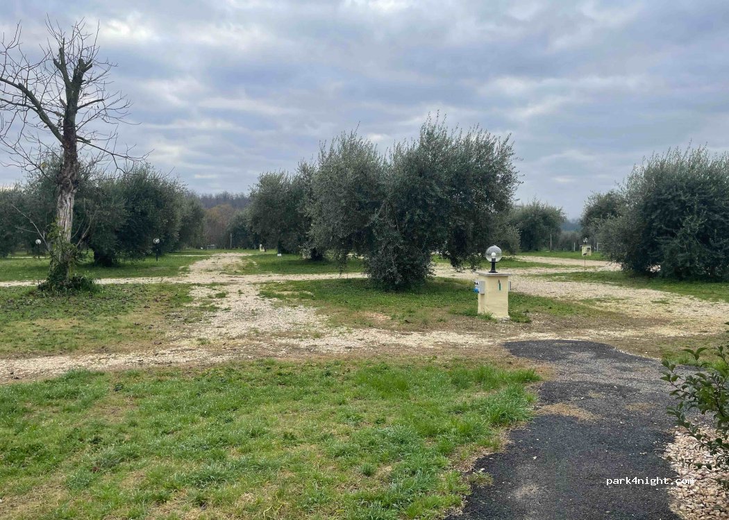 (01028) Orte - 5 Vocabolo Annunziata — foto