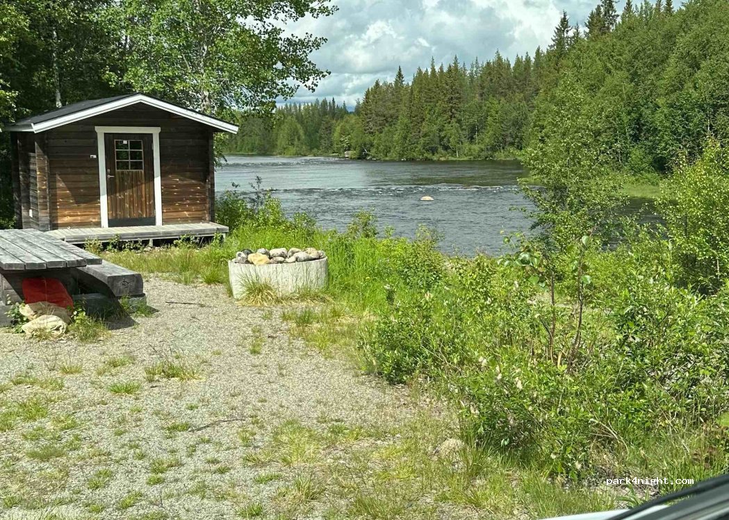 (924 92) Blattnicksele - — foto