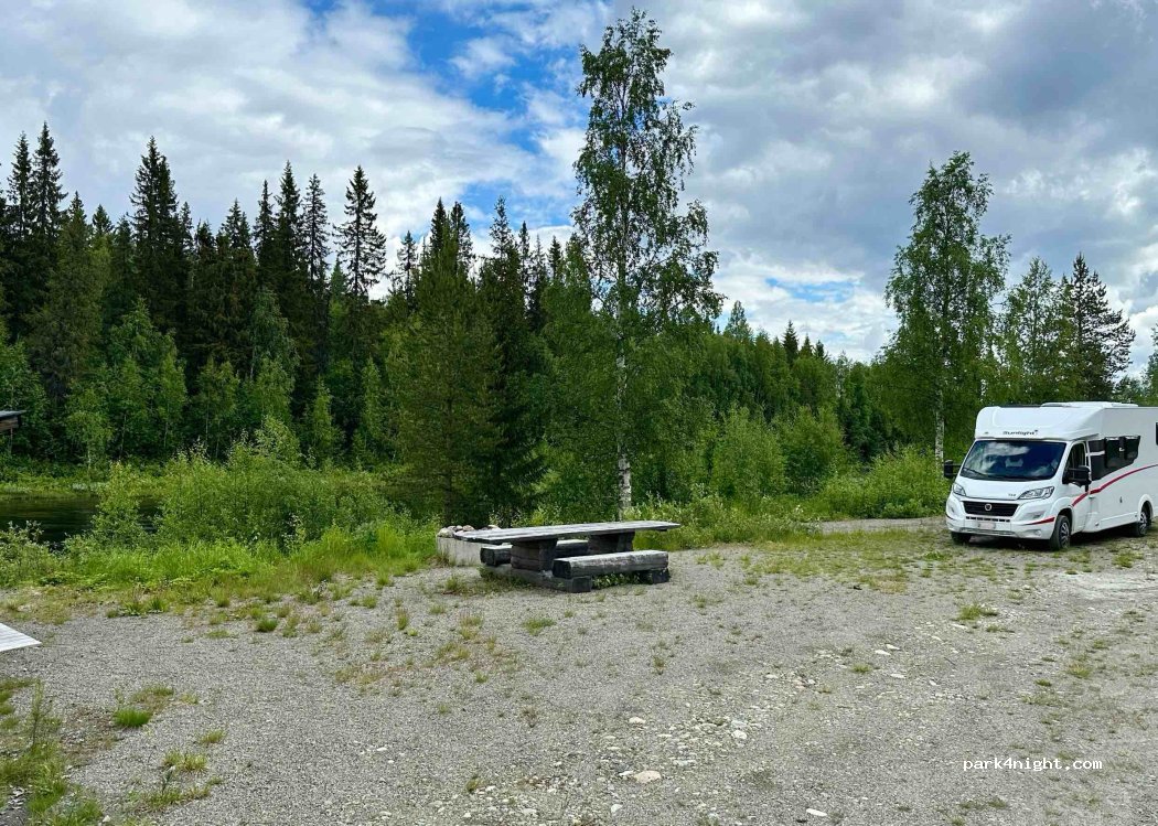 (924 92) Blattnicksele - — foto 2