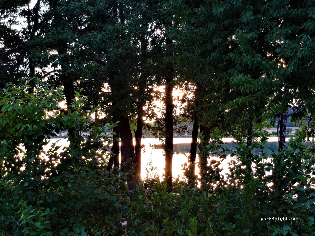 Hölö ladans Camping — foto 2